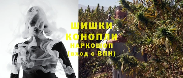 твердый Лагань