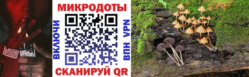 Галлюциногенные грибы Cubensis OMG Саров