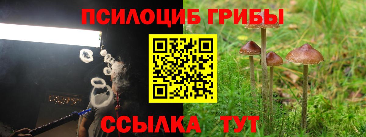 Галлюциногенные грибы прущие грибы  Галлюциногенные грибы Psilocybe  Вход с VPN  Саров 